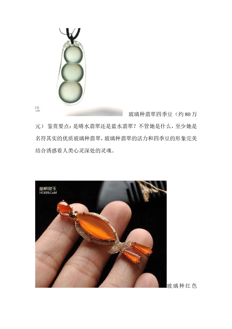 玻璃种翡翠_X018-玉石珠宝鉴定教程最新合集_8、玉石翡翠鉴定与投资电子资料_赌石专题