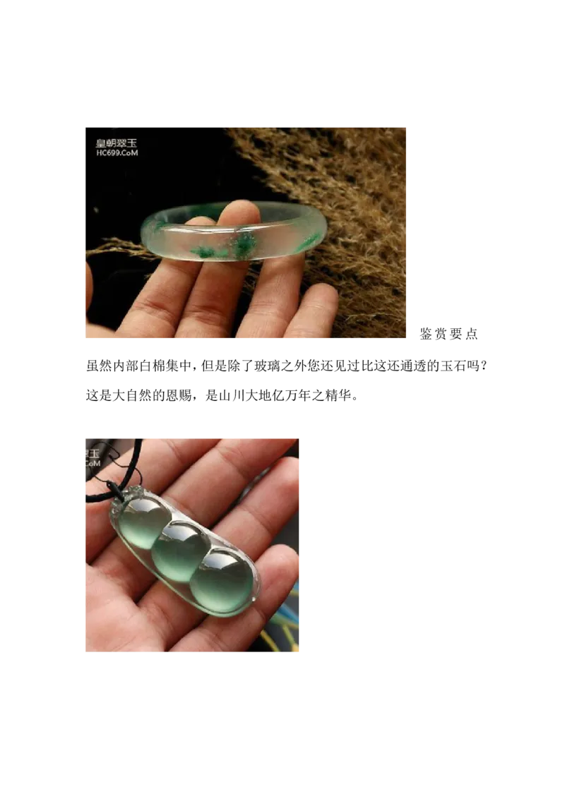 玻璃种翡翠_X018-玉石珠宝鉴定教程最新合集_8、玉石翡翠鉴定与投资电子资料_赌石专题