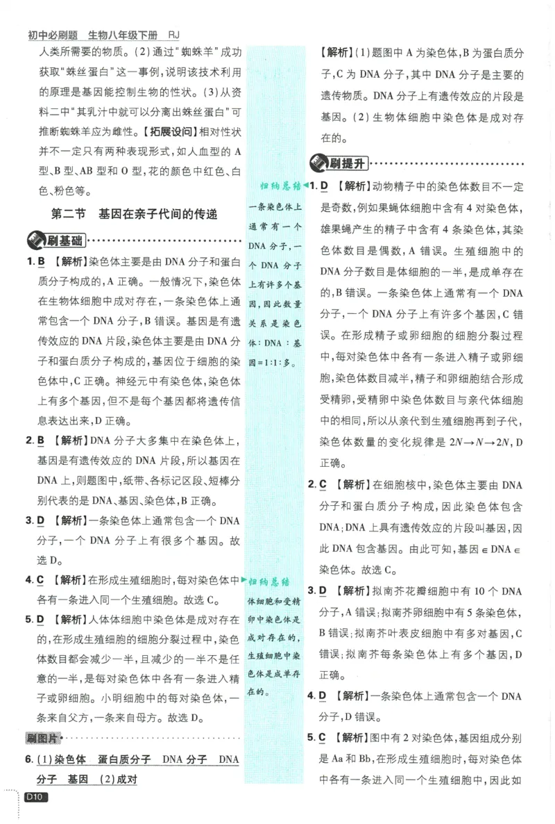 2026春《初中必刷题》生物RJ8下批注式详答与详析_2026春《初中必刷题》生物RJ8下