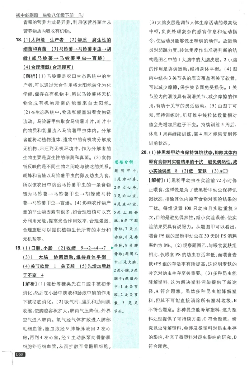 2026春《初中必刷题》生物RJ8下批注式详答与详析_2026春《初中必刷题》生物RJ8下