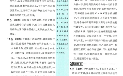 2026春《初中必刷题》生物RJ8下批注式详答与详析_2026春《初中必刷题》生物RJ8下