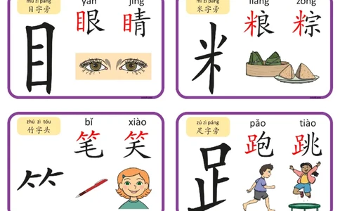 2_认识部首和偏旁闪卡_幼小语数英专项资料_幼小语文专项