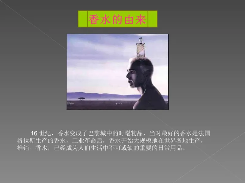 奢侈品培训-合订本(中)_X017-奢侈品鉴定教程最新合集_赠品3奢侈品培训电子书