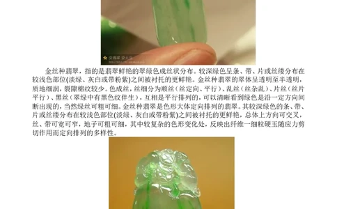 浅谈翡翠之金丝种与龙石种_X018-玉石珠宝鉴定教程最新合集_8、玉石翡翠鉴定与投资电子资料_赌石专题