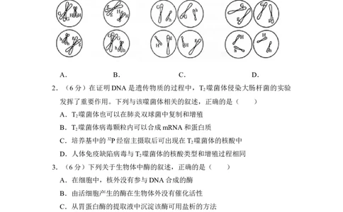 2017年高考生物试卷（新课标Ⅱ）（空白卷）_生物历年高考真题_新&middot;Word版2008-2025&middot;高考生物真题_生物（按省份分类）2008-2025_2008-2024&middot;（西藏）生物高考真题