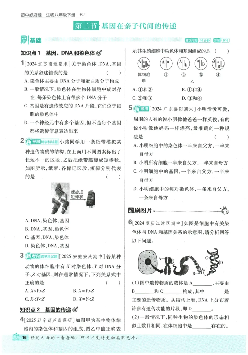 2026春《初中必刷题》生物RJ8下_2026春《初中必刷题》生物RJ8下