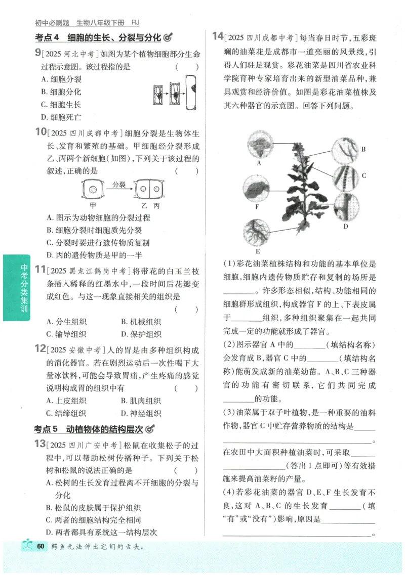 2026春《初中必刷题》生物RJ8下_2026春《初中必刷题》生物RJ8下