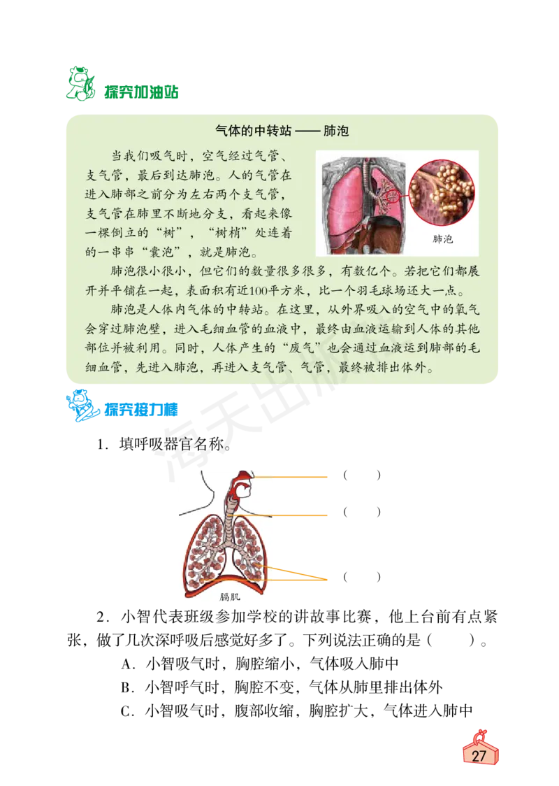 2022秋《知识与能力训练&middot;科学》四年级-内文_2024年人教版小学数学一二三四五六年级上册下册期中期末试a0747_小学全科《同步练习+精品试卷》打包下载（1-6年级单元月考期中期末试卷）
