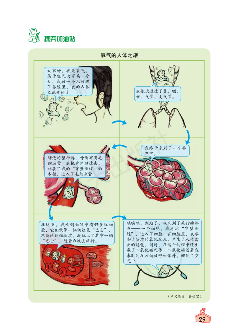 2022秋《知识与能力训练&middot;科学》四年级-内文_2024年人教版小学数学一二三四五六年级上册下册期中期末试a0747_小学全科《同步练习+精品试卷》打包下载（1-6年级单元月考期中期末试卷）
