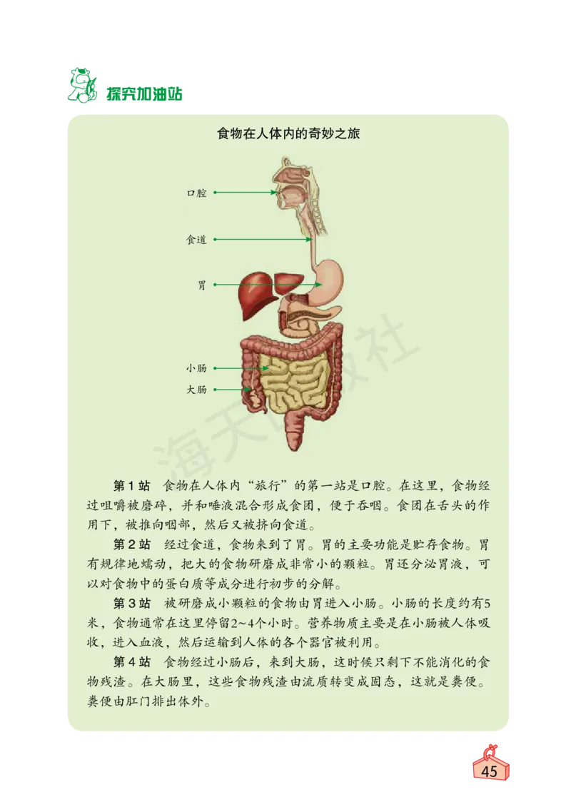 2022秋《知识与能力训练&middot;科学》四年级-内文_2024年人教版小学数学一二三四五六年级上册下册期中期末试a0747_小学全科《同步练习+精品试卷》打包下载（1-6年级单元月考期中期末试卷）