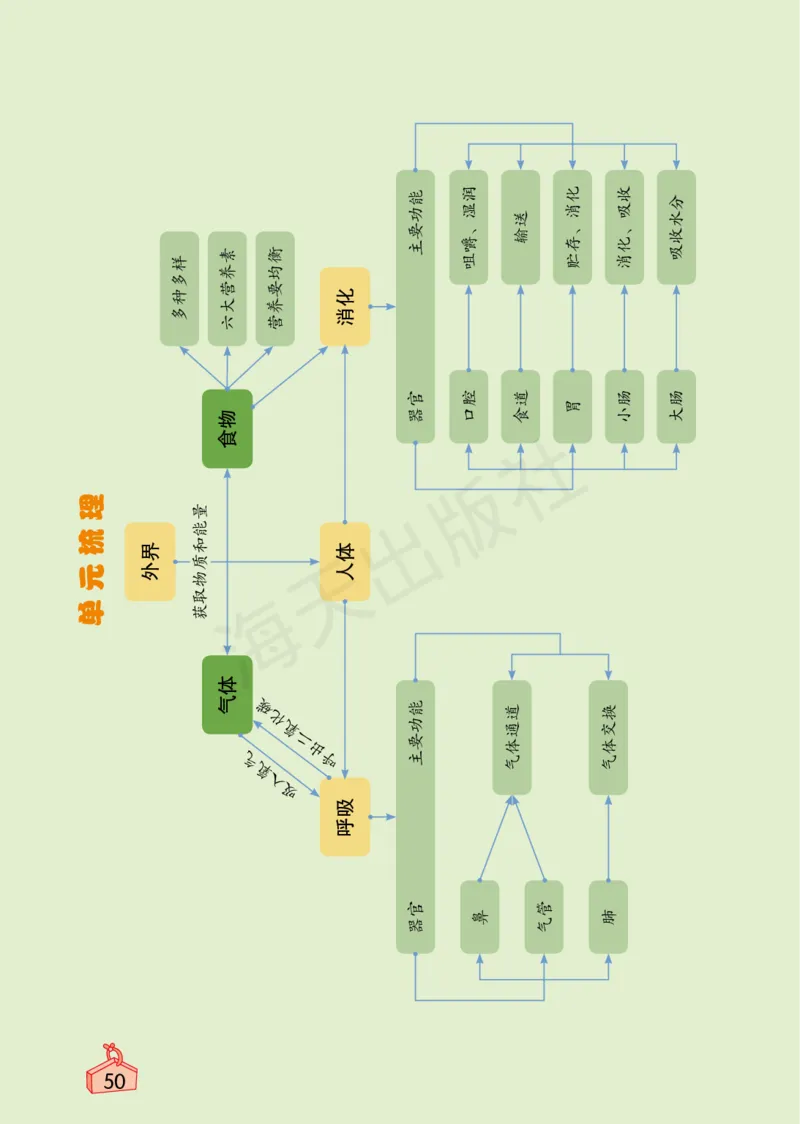 2022秋《知识与能力训练&middot;科学》四年级-内文_2024年人教版小学数学一二三四五六年级上册下册期中期末试a0747_小学全科《同步练习+精品试卷》打包下载（1-6年级单元月考期中期末试卷）