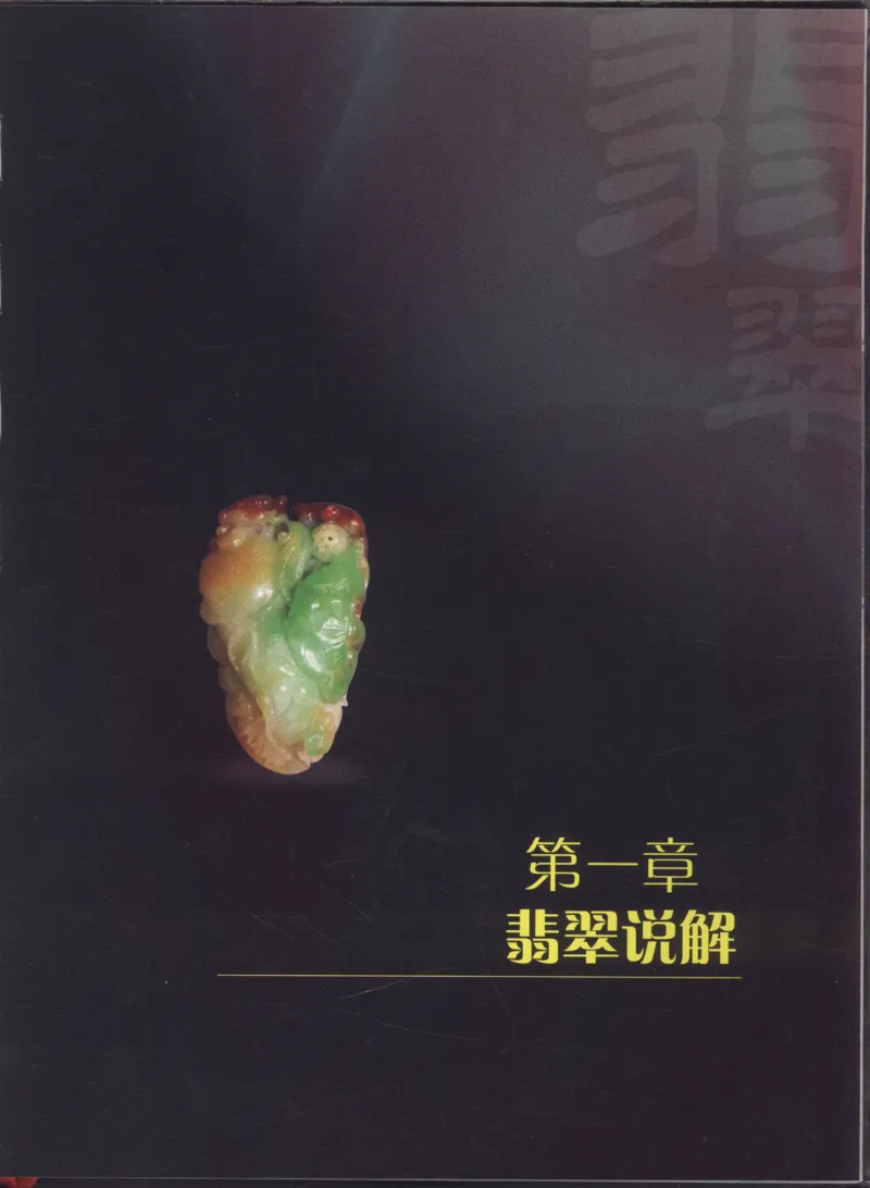 相玉学：翡翠_李红彦著_德宏民族出版社_200..._X018-玉石珠宝鉴定教程最新合集_6、翡翠鉴定专题全套课程_翡翠电子书_翡翠品评