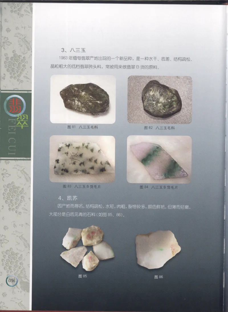 相玉学：翡翠_李红彦著_德宏民族出版社_200..._X018-玉石珠宝鉴定教程最新合集_6、翡翠鉴定专题全套课程_翡翠电子书_翡翠品评