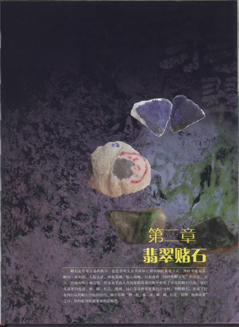 相玉学：翡翠_李红彦著_德宏民族出版社_200..._X018-玉石珠宝鉴定教程最新合集_6、翡翠鉴定专题全套课程_翡翠电子书_翡翠品评