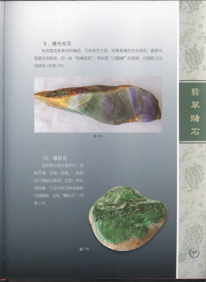 相玉学：翡翠_李红彦著_德宏民族出版社_200..._X018-玉石珠宝鉴定教程最新合集_6、翡翠鉴定专题全套课程_翡翠电子书_翡翠品评