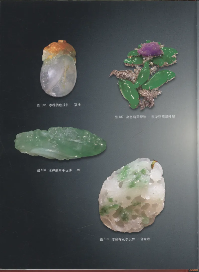相玉学：翡翠_李红彦著_德宏民族出版社_200..._X018-玉石珠宝鉴定教程最新合集_6、翡翠鉴定专题全套课程_翡翠电子书_翡翠品评