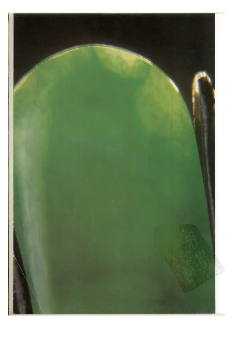 翡翠全集（下册）_X018-玉石珠宝鉴定教程最新合集_6、翡翠鉴定专题全套课程_翡翠电子书_翡翠鉴赏_11-20