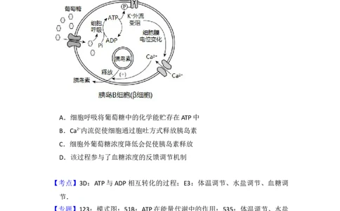 2017年高考生物试卷（北京）（解析卷）_生物历年高考真题_新&middot;Word版2008-2025&middot;高考生物真题_生物（按年份分类）2008-2025_2017&middot;高考生物真题