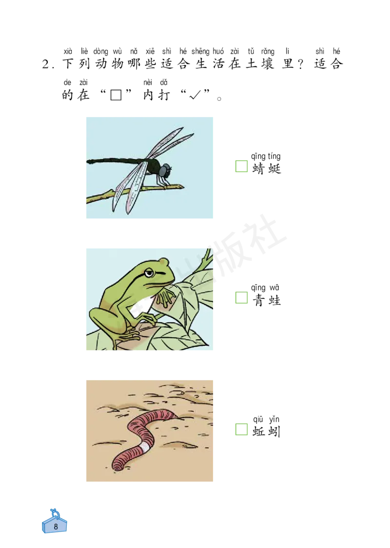 2022秋《知识与能力训练&middot;科学》二年级-内文_2024年人教版小学数学一二三四五六年级上册下册期中期末试a0747_小学全科《同步练习+精品试卷》打包下载（1-6年级单元月考期中期末试卷）