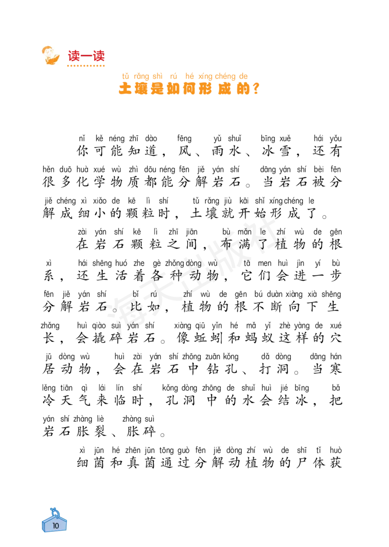 2022秋《知识与能力训练&middot;科学》二年级-内文_2024年人教版小学数学一二三四五六年级上册下册期中期末试a0747_小学全科《同步练习+精品试卷》打包下载（1-6年级单元月考期中期末试卷）