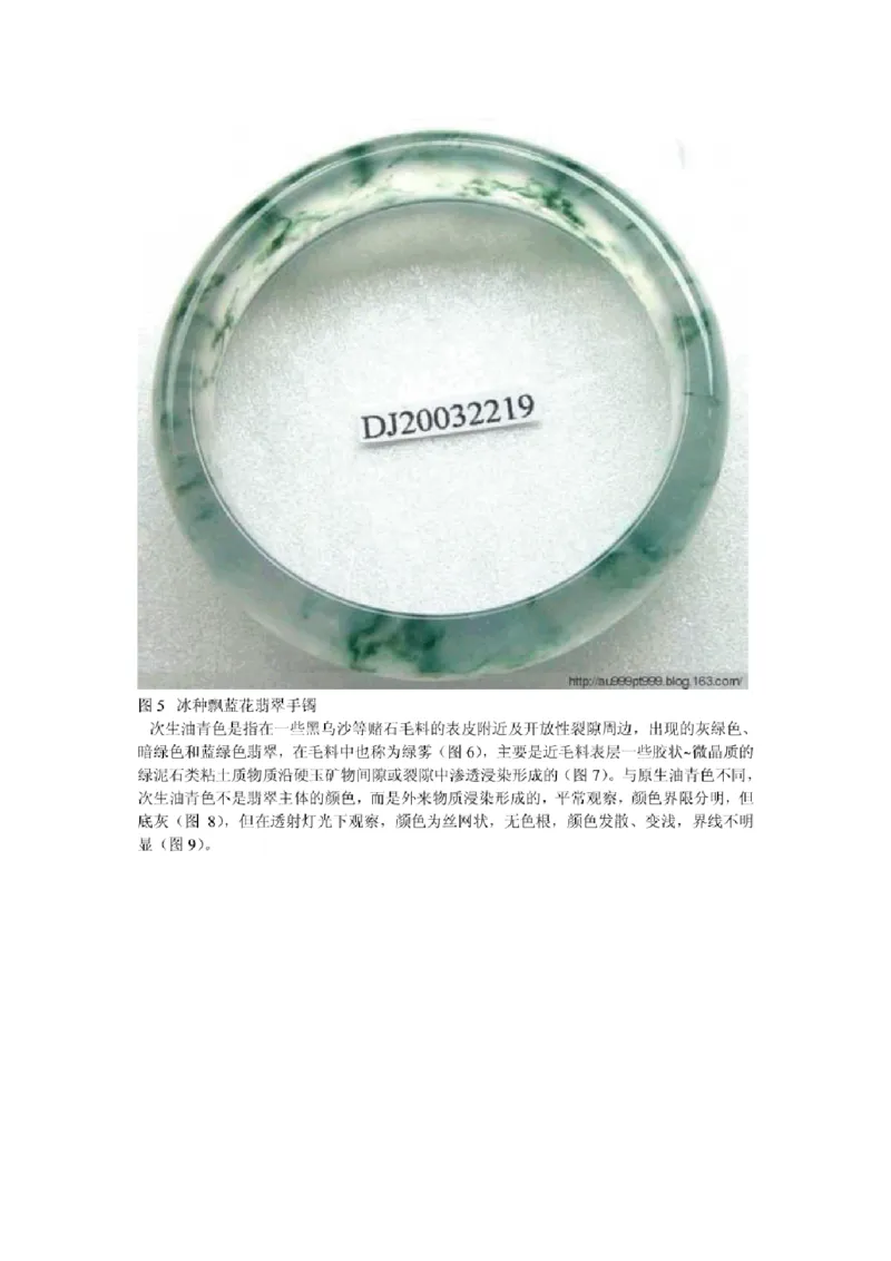 油青&rdquo;翡翠的概念及其质量评价_X018-玉石珠宝鉴定教程最新合集_8、玉石翡翠鉴定与投资电子资料