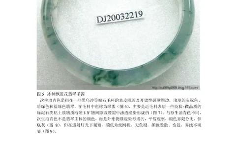 油青&rdquo;翡翠的概念及其质量评价_X018-玉石珠宝鉴定教程最新合集_8、玉石翡翠鉴定与投资电子资料