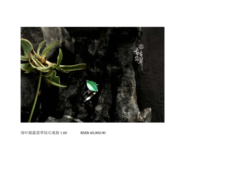 极品翡翠欣赏_X018-玉石珠宝鉴定教程最新合集_6、翡翠鉴定专题全套课程_翡翠电子书_翡翠鉴赏_01-10