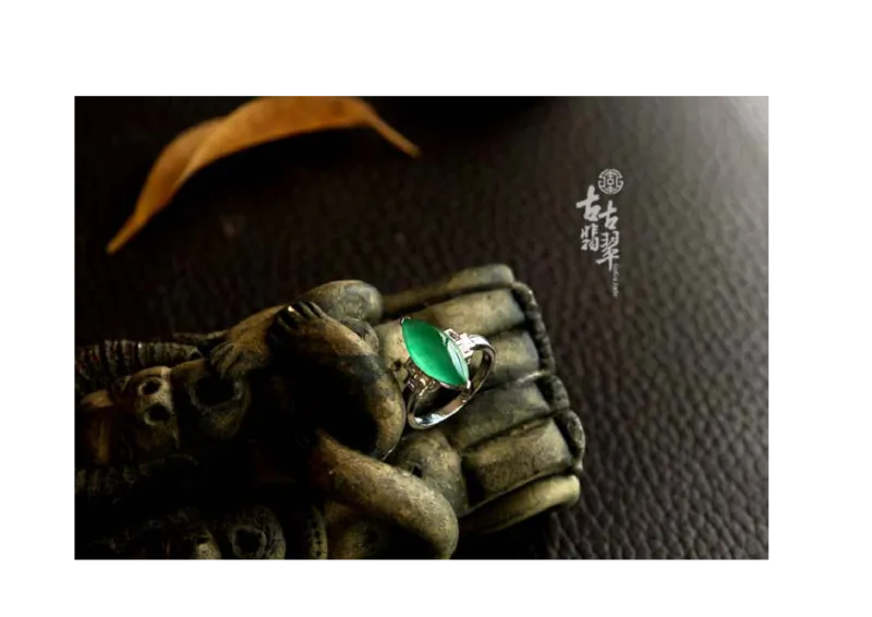 极品翡翠欣赏_X018-玉石珠宝鉴定教程最新合集_6、翡翠鉴定专题全套课程_翡翠电子书_翡翠鉴赏_01-10