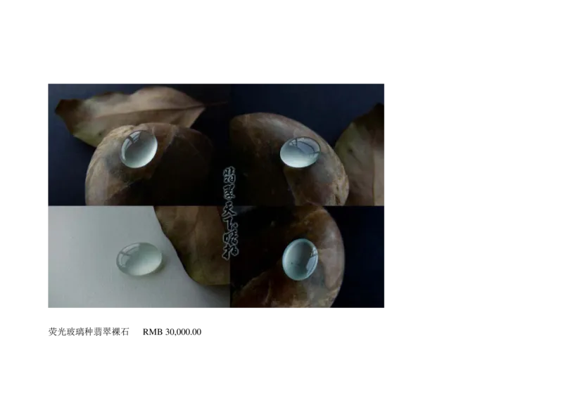 极品翡翠欣赏_X018-玉石珠宝鉴定教程最新合集_6、翡翠鉴定专题全套课程_翡翠电子书_翡翠鉴赏_01-10