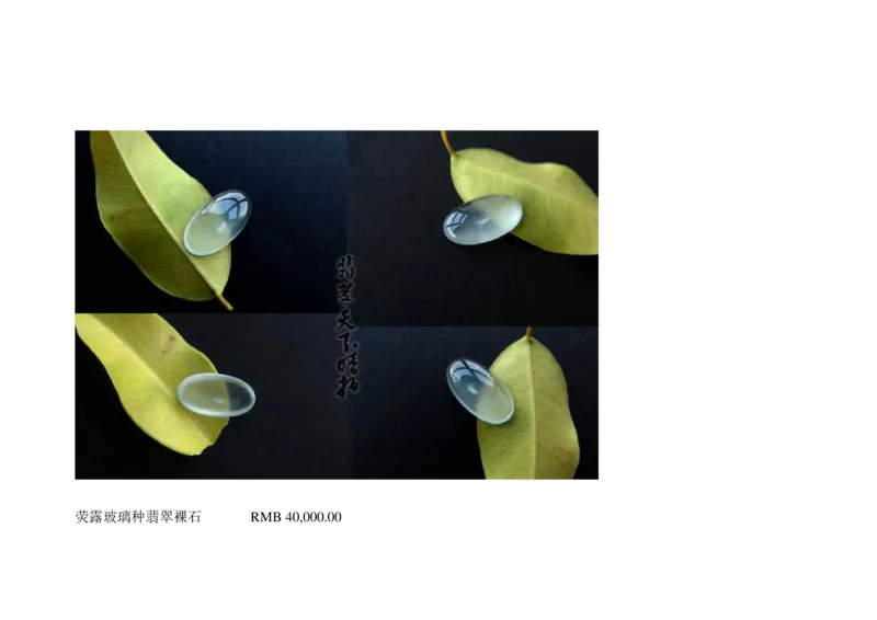 极品翡翠欣赏_X018-玉石珠宝鉴定教程最新合集_6、翡翠鉴定专题全套课程_翡翠电子书_翡翠鉴赏_01-10