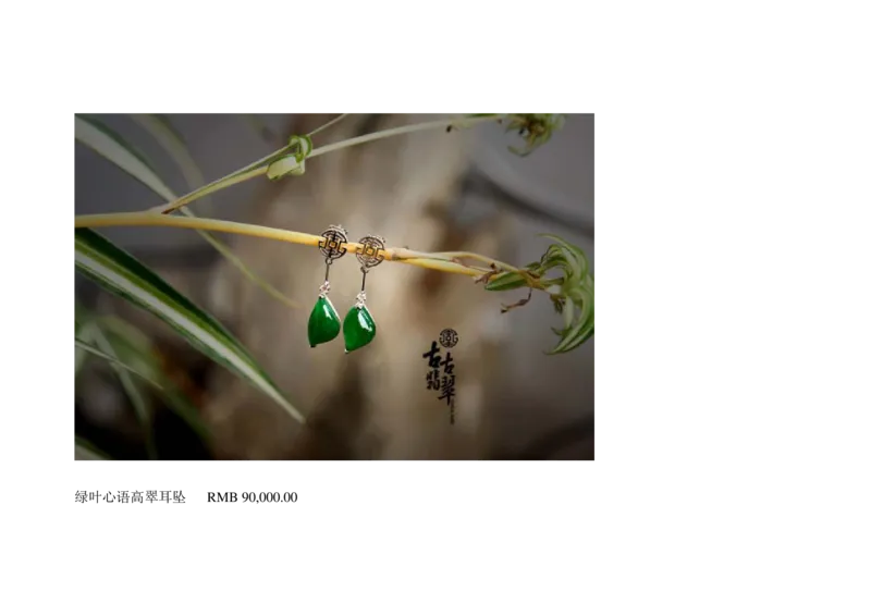 极品翡翠欣赏_X018-玉石珠宝鉴定教程最新合集_6、翡翠鉴定专题全套课程_翡翠电子书_翡翠鉴赏_01-10