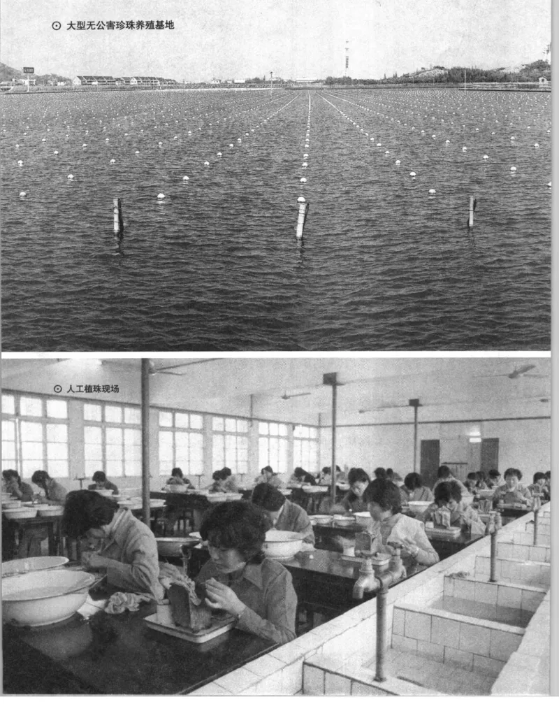 自然瑰宝神奇的珍珠_X018-玉石珠宝鉴定教程最新合集_3、珠宝玉石鉴赏学习资料合集