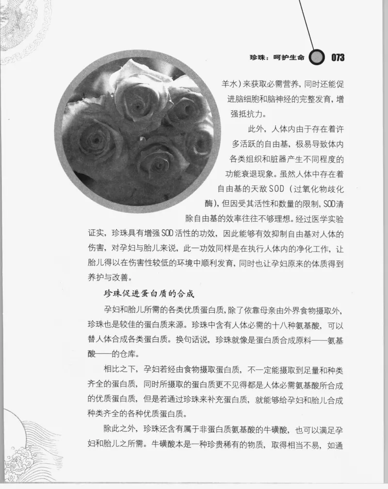 自然瑰宝神奇的珍珠_X018-玉石珠宝鉴定教程最新合集_3、珠宝玉石鉴赏学习资料合集