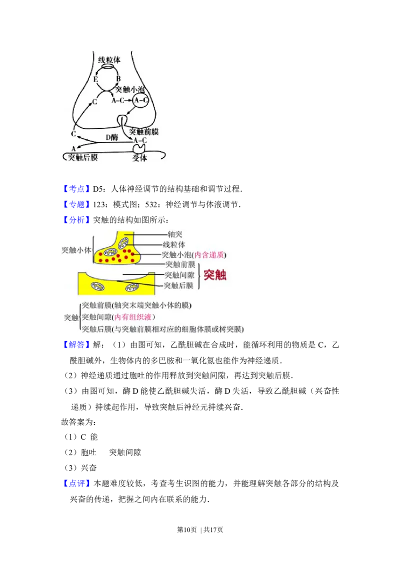 2016年高考生物试卷（新课标Ⅱ）（解析卷）_生物历年高考真题_新&middot;Word版2008-2025&middot;高考生物真题_生物（按年份分类）2008-2025_2016&middot;高考生物真题