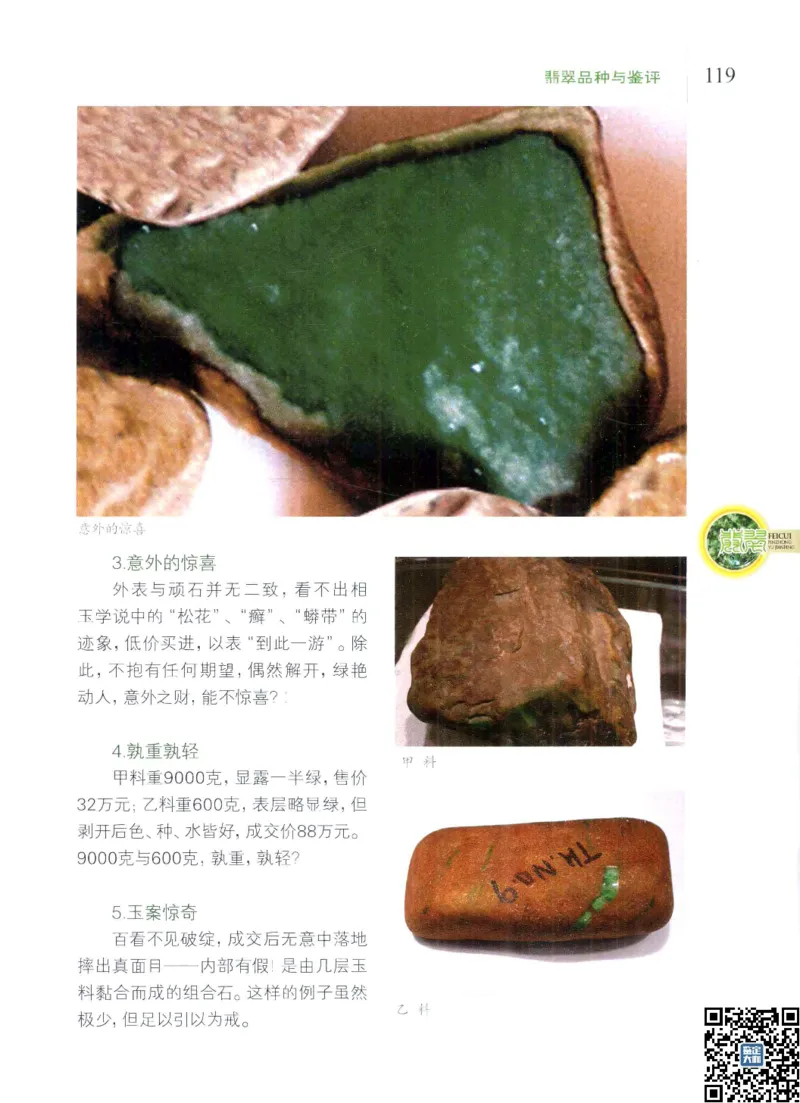 翡翠品种与鉴评_X018-玉石珠宝鉴定教程最新合集_6、翡翠鉴定专题全套课程_翡翠电子书_更新