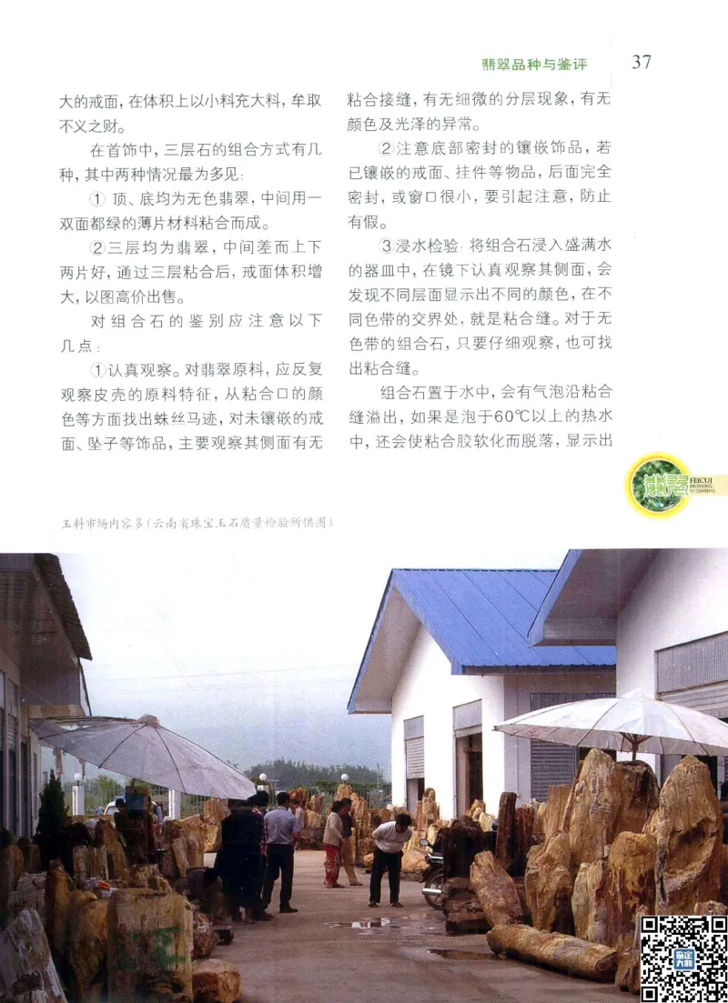 翡翠品种与鉴评_X018-玉石珠宝鉴定教程最新合集_6、翡翠鉴定专题全套课程_翡翠电子书_更新