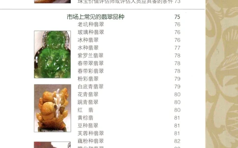 翡翠品种与鉴评_X018-玉石珠宝鉴定教程最新合集_6、翡翠鉴定专题全套课程_翡翠电子书_更新