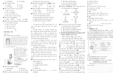 2025春一遍过英语七下RJ试卷-2024新教材-_初中英语新版_最新人教版英语七年级下册_七下英语2025版_15.2025春英语人教7下热门资料合集_25七下RJ英语一遍过