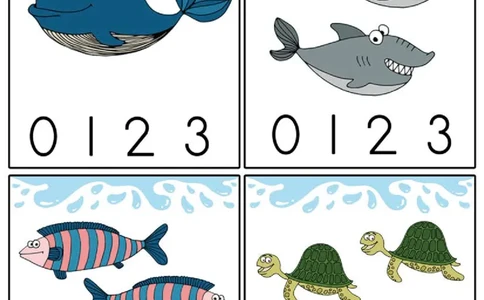 3.物数对应_幼小语数英专项资料_幼小数学专项