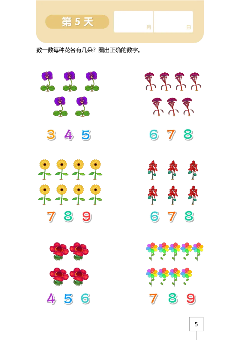 21天数感练习册（3岁即将入园上小班）_幼小语数英专项资料_幼小数学专项