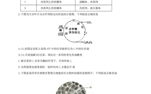 2015年高考生物试卷（安徽）（空白卷）_生物历年高考真题_新&middot;PDF版2008-2025&middot;高考生物真题_生物（按省份分类）2008-2025_2012-2025&middot;（安徽）生物高考真题