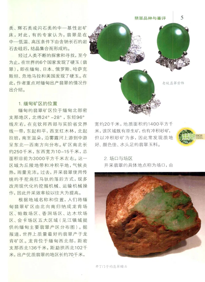 翡翠品种与鉴评_X018-玉石珠宝鉴定教程最新合集_6、翡翠鉴定专题全套课程_翡翠电子书_翡翠品评