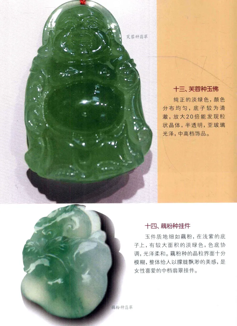 翡翠品种与鉴评_X018-玉石珠宝鉴定教程最新合集_6、翡翠鉴定专题全套课程_翡翠电子书_翡翠品评