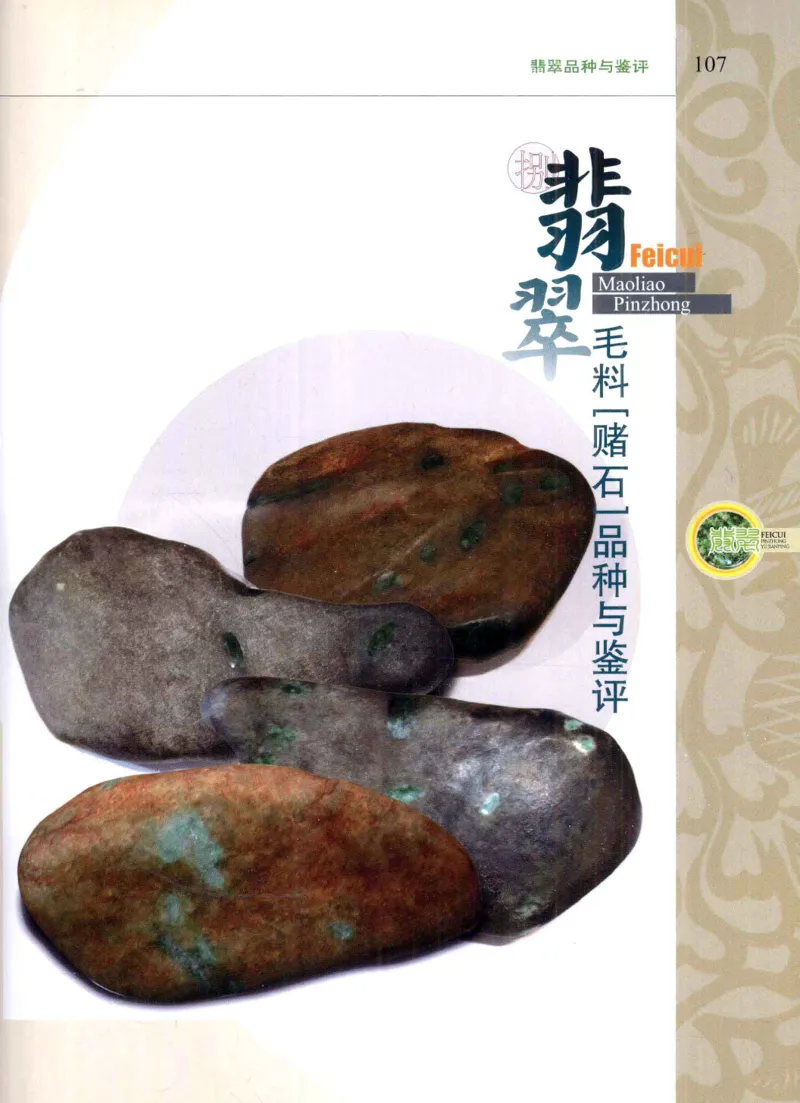 翡翠品种与鉴评_X018-玉石珠宝鉴定教程最新合集_6、翡翠鉴定专题全套课程_翡翠电子书_翡翠品评