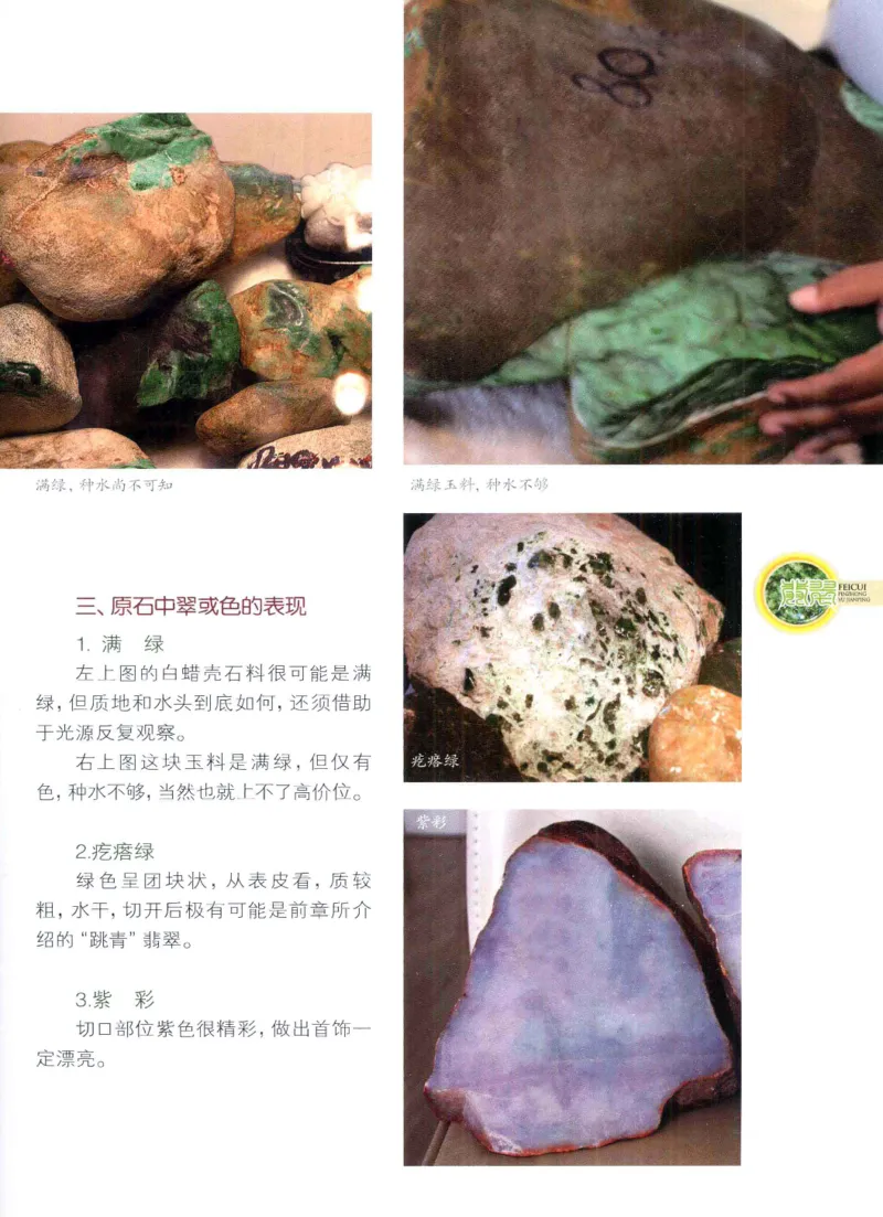 翡翠品种与鉴评_X018-玉石珠宝鉴定教程最新合集_6、翡翠鉴定专题全套课程_翡翠电子书_翡翠品评