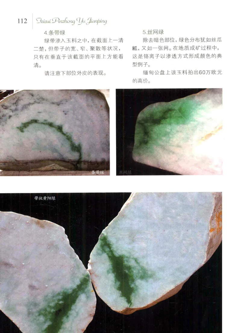 翡翠品种与鉴评_X018-玉石珠宝鉴定教程最新合集_6、翡翠鉴定专题全套课程_翡翠电子书_翡翠品评