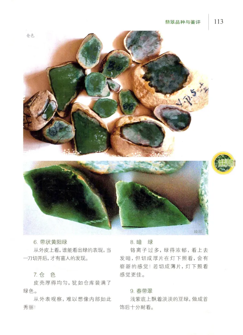 翡翠品种与鉴评_X018-玉石珠宝鉴定教程最新合集_6、翡翠鉴定专题全套课程_翡翠电子书_翡翠品评