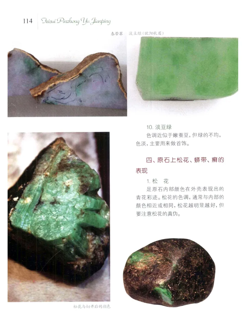 翡翠品种与鉴评_X018-玉石珠宝鉴定教程最新合集_6、翡翠鉴定专题全套课程_翡翠电子书_翡翠品评
