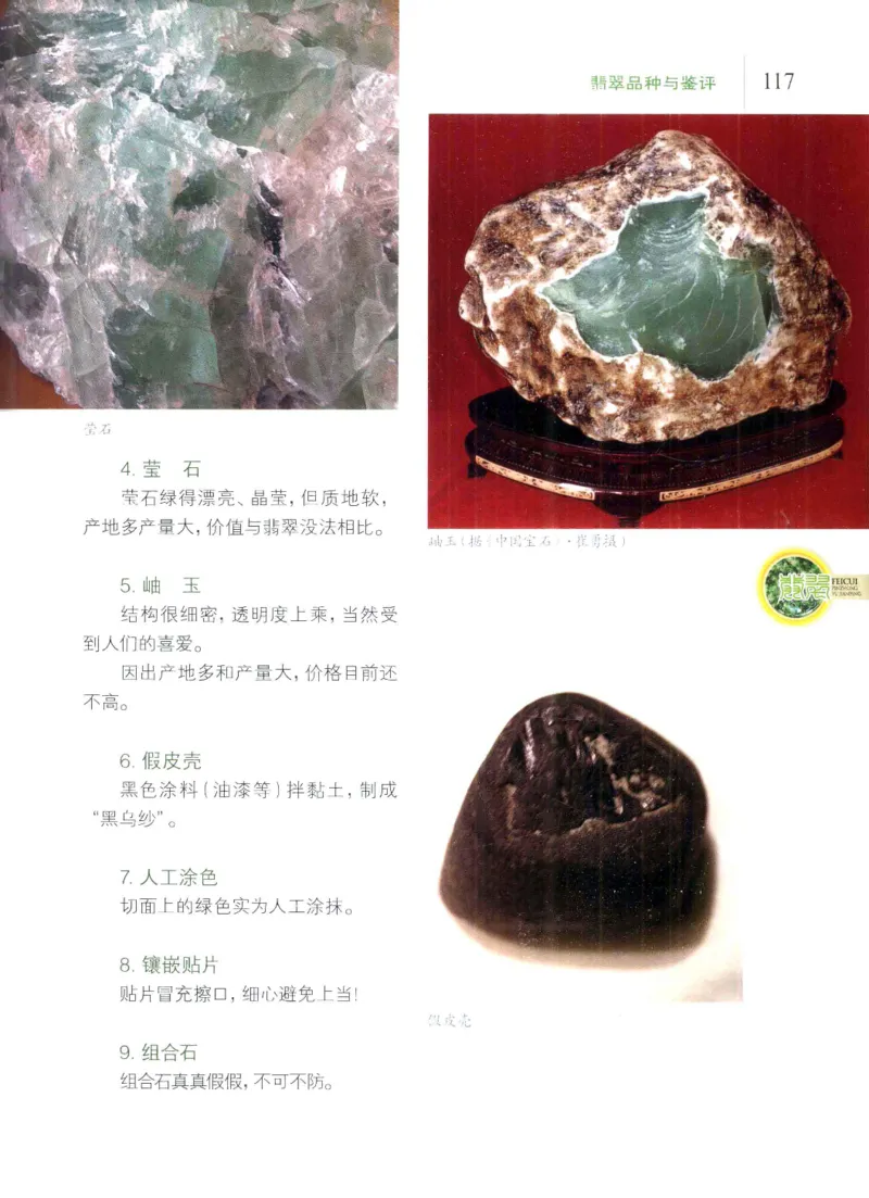 翡翠品种与鉴评_X018-玉石珠宝鉴定教程最新合集_6、翡翠鉴定专题全套课程_翡翠电子书_翡翠品评