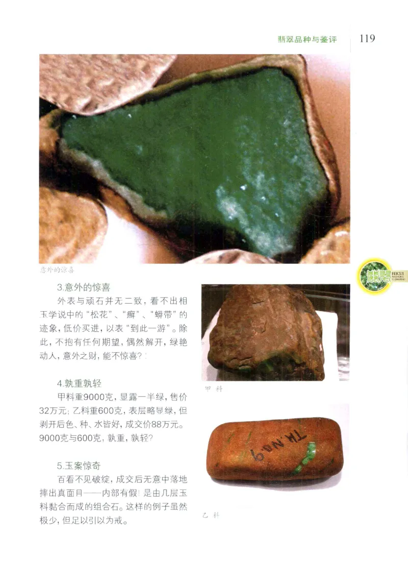 翡翠品种与鉴评_X018-玉石珠宝鉴定教程最新合集_6、翡翠鉴定专题全套课程_翡翠电子书_翡翠品评